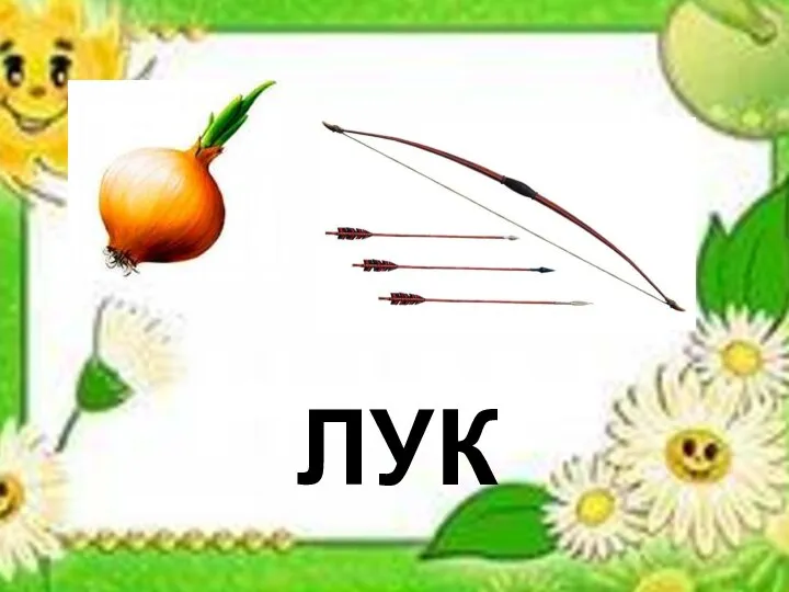 лук