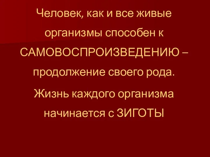 Человек, как и все живые организмы способен к САМОВОСПРОИЗВЕДЕНИЮ – продолжение