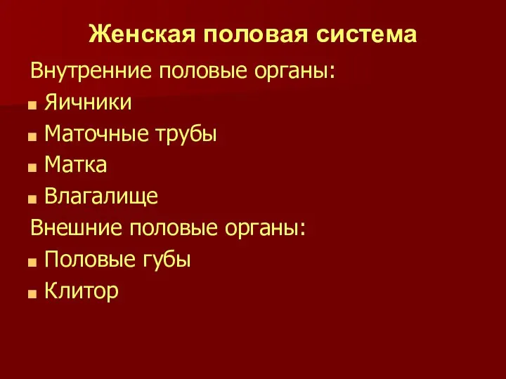 Женская половая система Внутренние половые органы: Яичники Маточные трубы Матка Влагалище