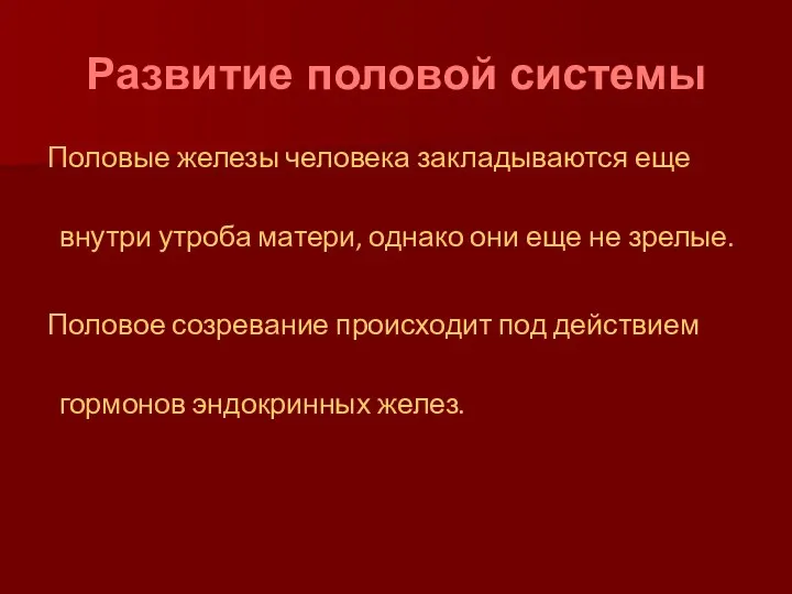 Развитие половой системы Половые железы человека закладываются еще внутри утроба матери,