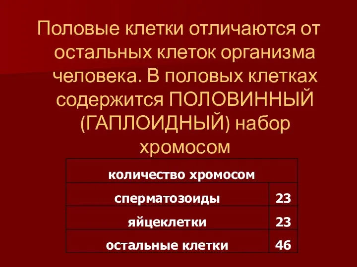 Половые клетки отличаются от остальных клеток организма человека. В половых клетках содержится ПОЛОВИННЫЙ (ГАПЛОИДНЫЙ) набор хромосом