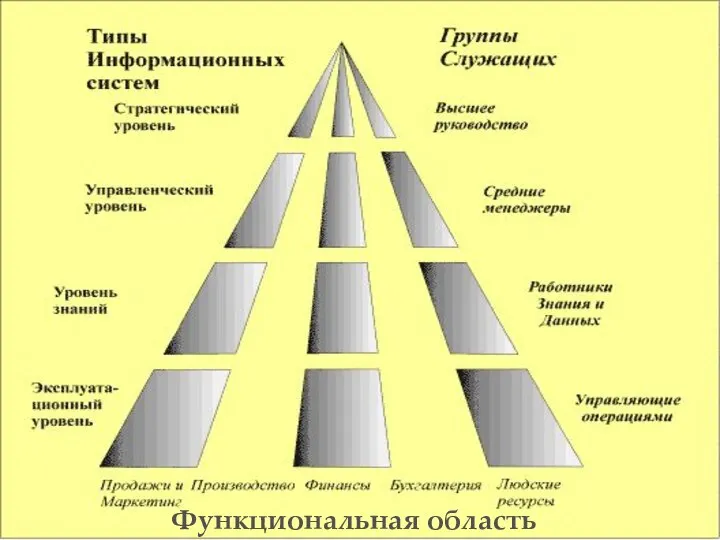 Функциональная область