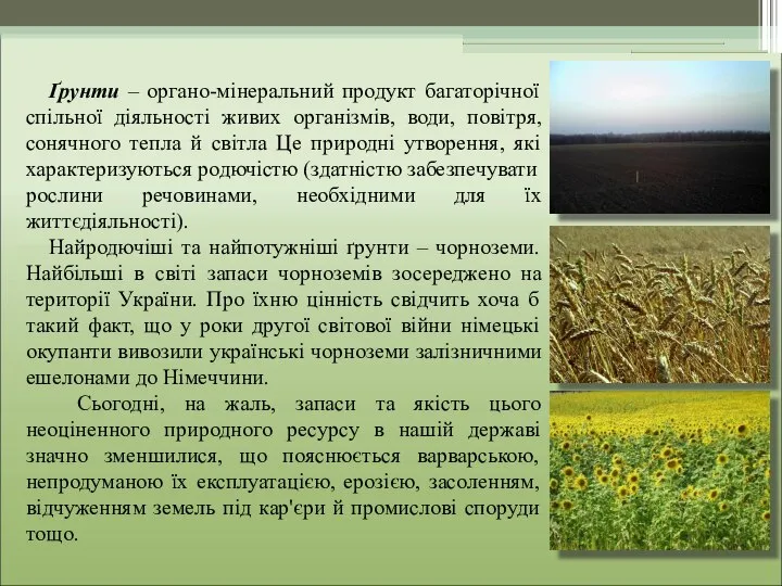 Ґрунти – органо-мінеральний продукт багаторічної спільної діяльності живих організмів, води, повітря,