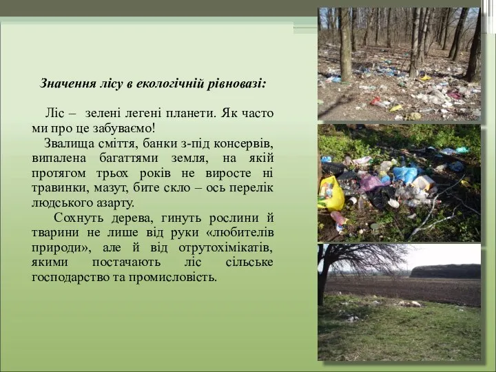 Значення лісу в екологічній рівновазі: Ліс – зелені легені планети. Як