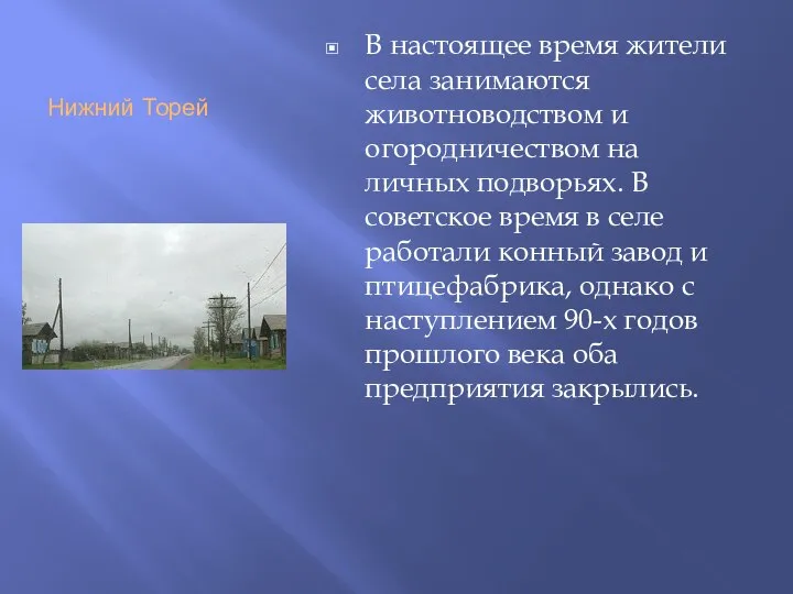 Нижний Торей В настоящее время жители села занимаются животноводством и огородничеством