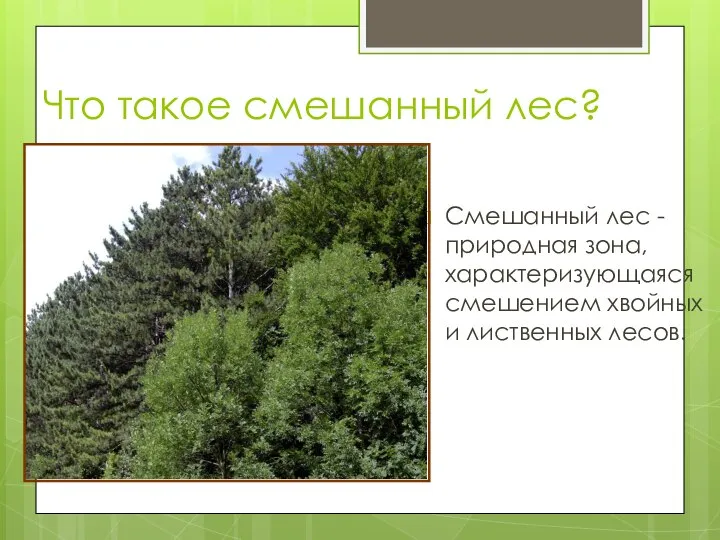 Что такое смешанный лес? Смешанный лес - природная зона, характеризующаяся смешением хвойных и лиственных лесов.