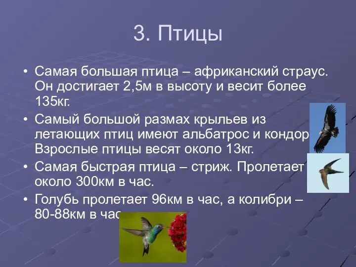 3. Птицы Самая большая птица – африканский страус. Он достигает 2,5м