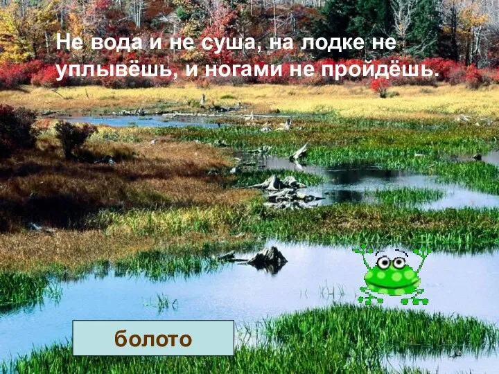 Не вода и не суша, на лодке не уплывёшь, и ногами не пройдёшь. болото