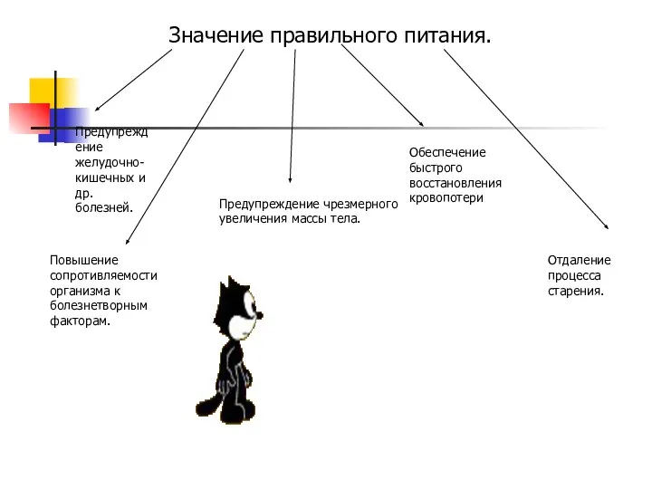 Значение правильного питания. Предупреждение желудочно-кишечных и др. болезней. Повышение сопротивляемости организма