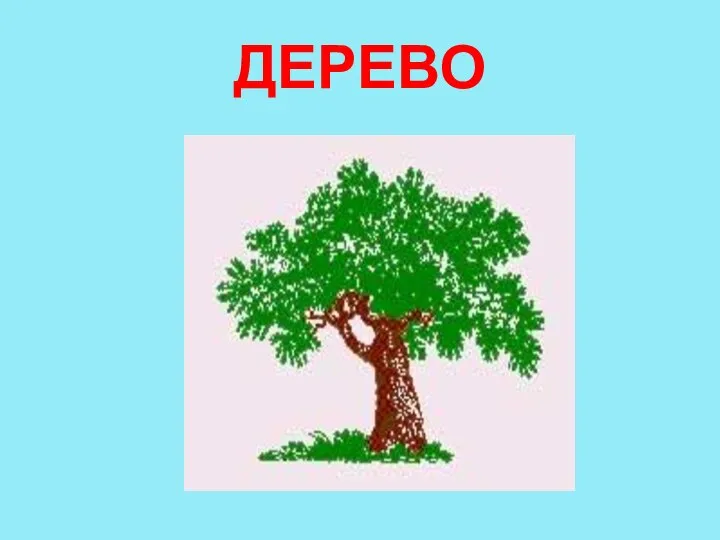 ДЕРЕВО