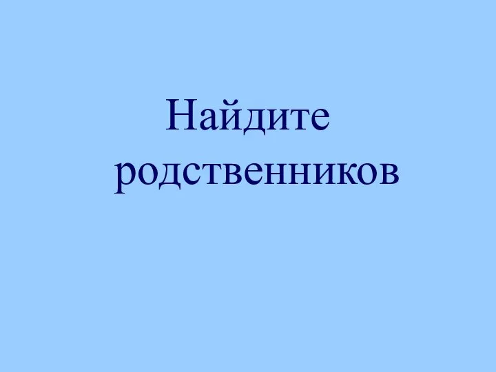 Найдите родственников