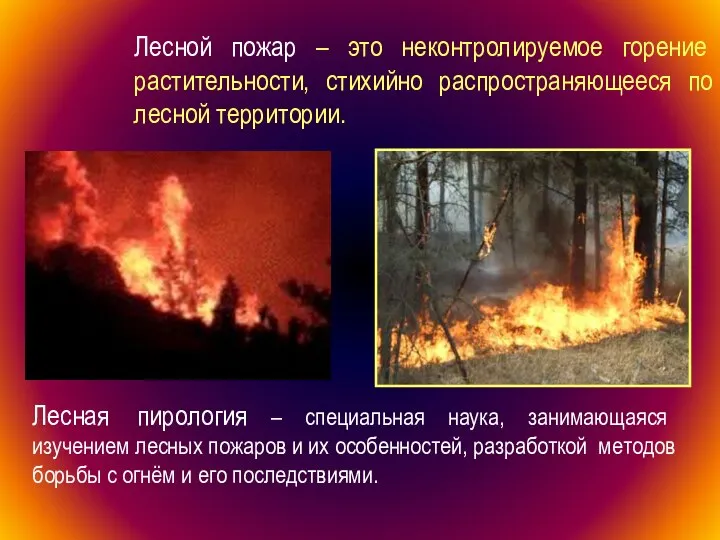 Лесной пожар – это неконтролируемое горение растительности, стихийно распространяющееся по лесной