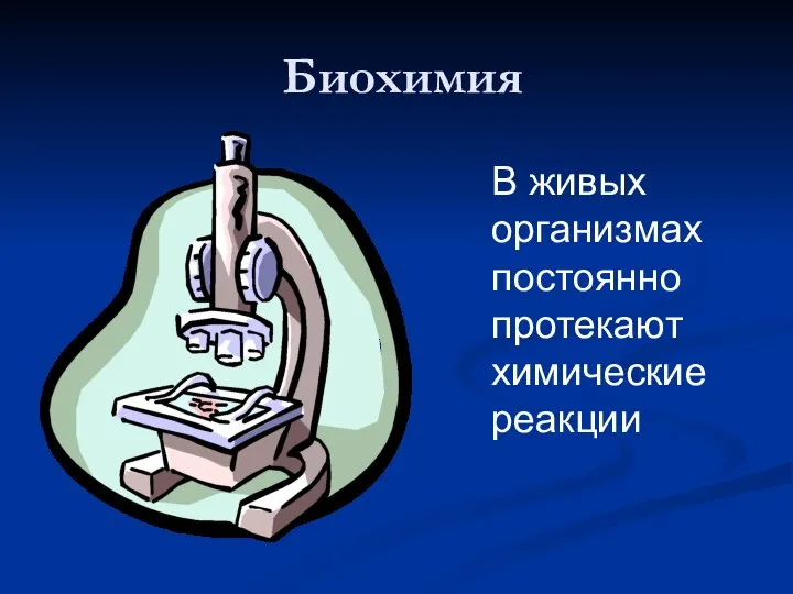 Биохимия В живых организмах постоянно протекают химические реакции