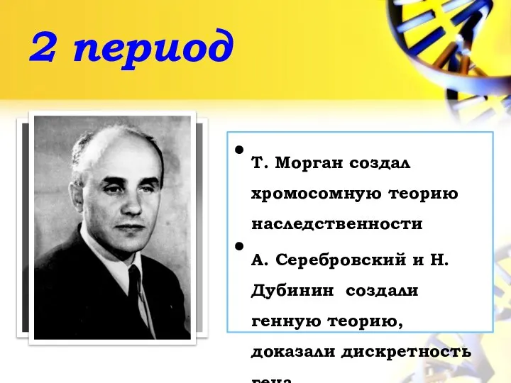 2 период Т. Морган создал хромосомную теорию наследственности А. Серебровский и