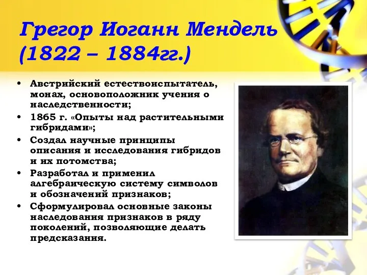 Грегор Иоганн Мендель (1822 – 1884гг.) Австрийский естествоиспытатель, монах, основоположник учения