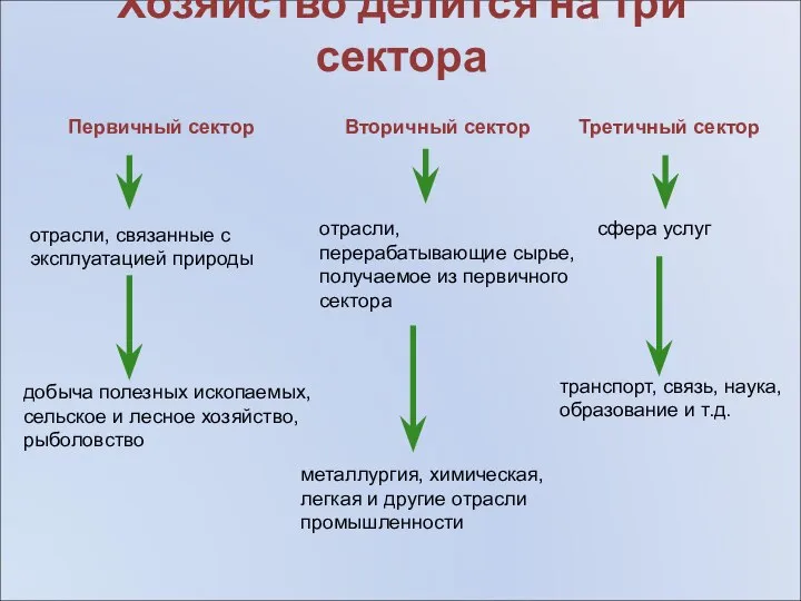 Хозяйство делится на три сектора Первичный сектор Вторичный сектор Третичный сектор