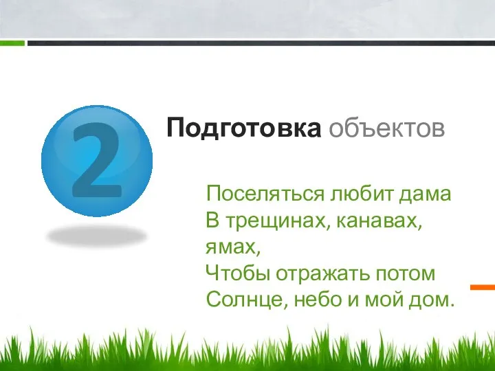 2 Подготовка объектов Поселяться любит дама В трещинах, канавах, ямах, Чтобы