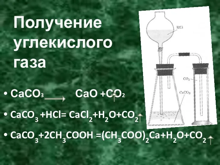 Получение углекислого газа СаСО3 СаО +СО2 CaCO3 +HCl= CaCl2+H2O+CO2 CaCO3+2CH3COOH =(CH3COO)2Ca+H2O+CO2