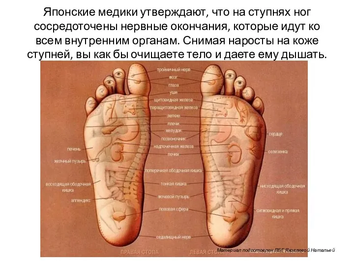 Японские медики утверждают, что на ступнях ног сосредоточены нервные окончания, которые