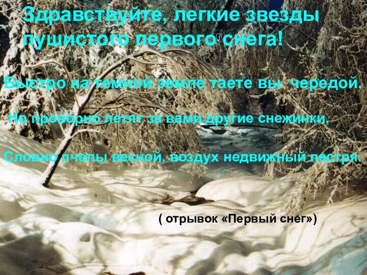 ( отрывок «Первый снег») Здравствуйте, легкие звезды пушистого первого снега! Быстро