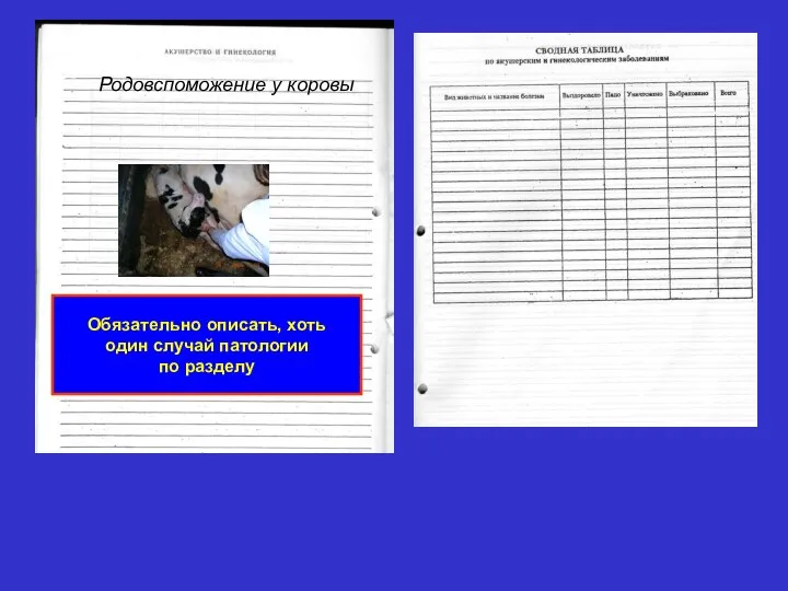 Обязательно описать, хоть один случай патологии по разделу Родовспоможение у коровы