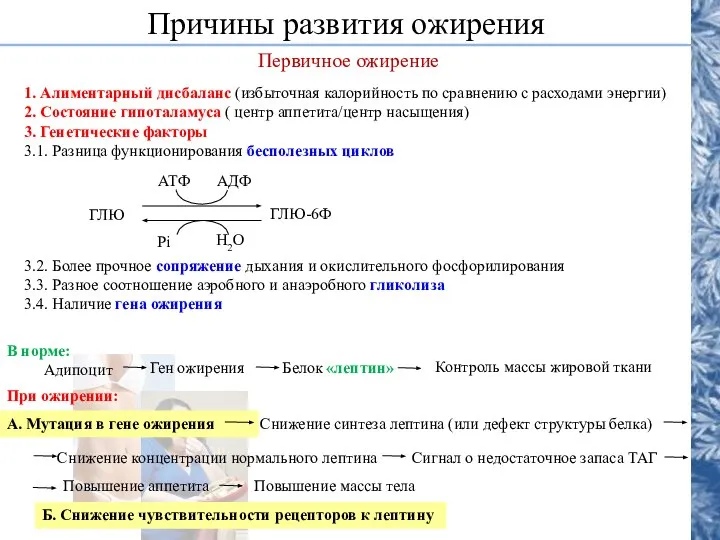 Причины развития ожирения Первичное ожирение 1. Алиментарный дисбаланс (избыточная калорийность по