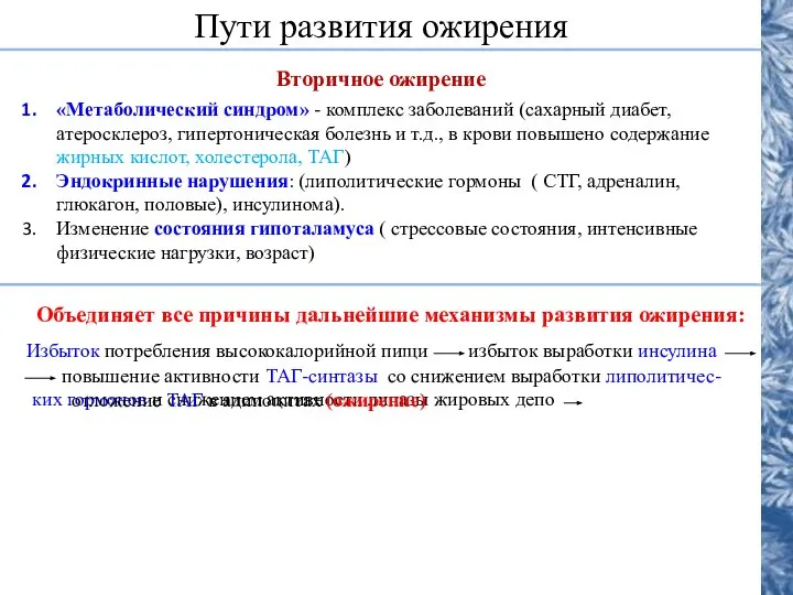 Пути развития ожирения Вторичное ожирение «Метаболический синдром» - комплекс заболеваний (сахарный