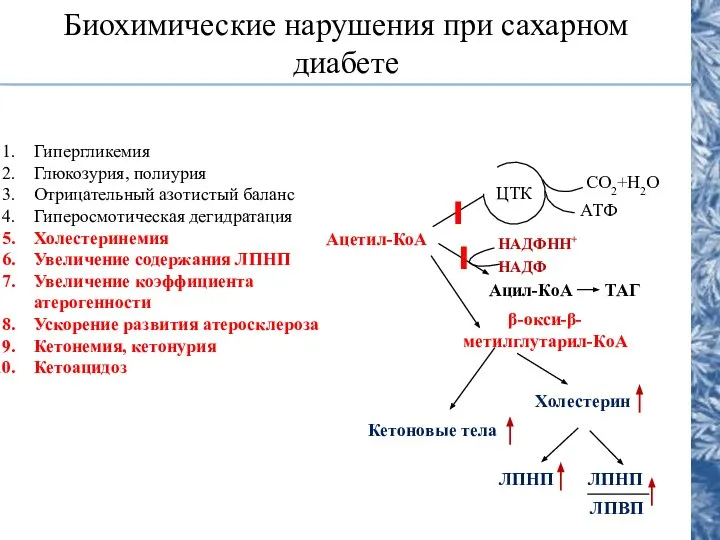 Биохимические нарушения при сахарном диабете Гипергликемия Глюкозурия, полиурия Отрицательный азотистый баланс