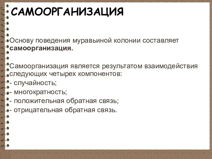 САМООРГАНИЗАЦИЯ Основу поведения муравьиной колонии составляет самоорганизация. Самоорганизация является результатом взаимодействия