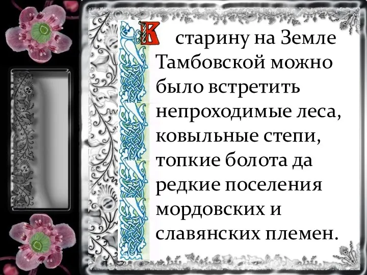 старину на Земле Тамбовской можно было встретить непроходимые леса, ковыльные степи,