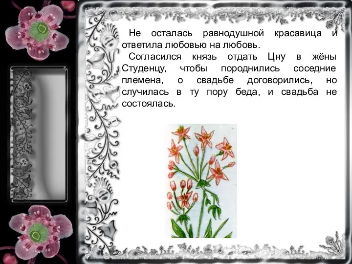 Не осталась равнодушной красавица и ответила любовью на любовь. Согласился князь