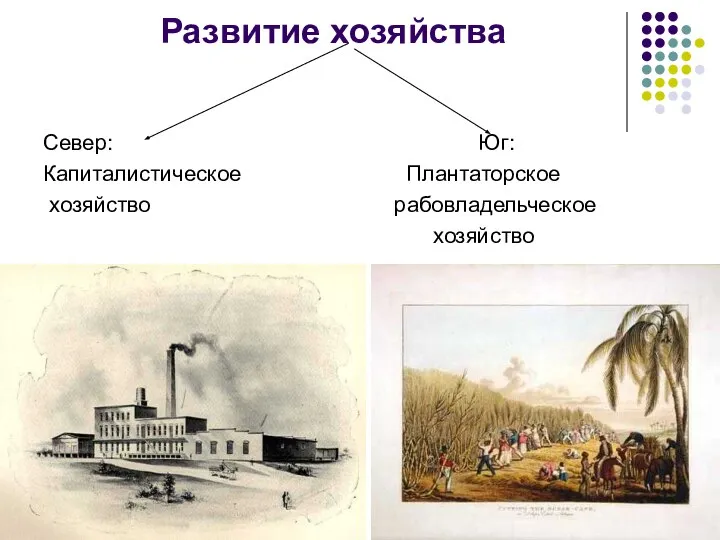 Развитие хозяйства Север: Юг: Капиталистическое Плантаторское хозяйство рабовладельческое хозяйство