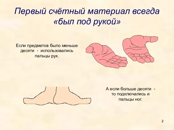 Первый счётный материал всегда «был под рукой» Если предметов было меньше