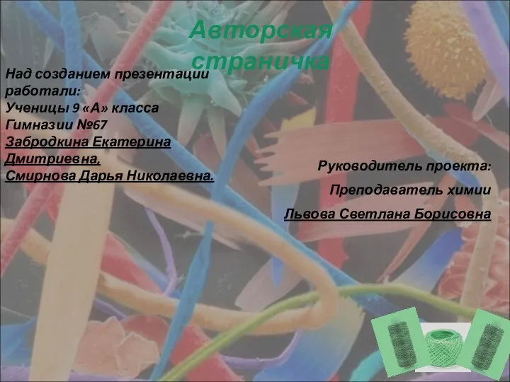 Авторская страничка Над созданием презентации работали: Ученицы 9 «А» класса Гимназии