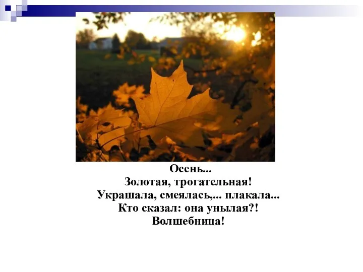 Осень... Золотая, трогательная! Украшала, смеялась,... плакала... Кто сказал: она унылая?! Волшебница!