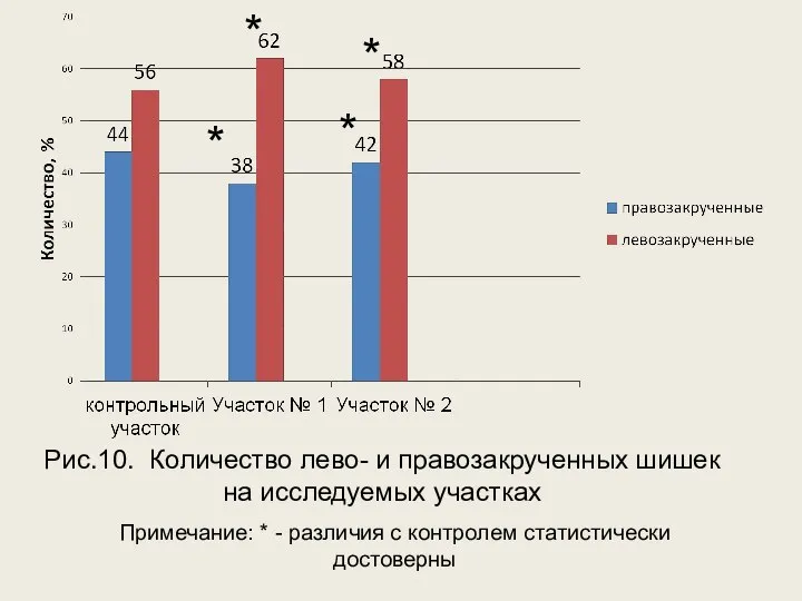 Рис.10. Количество лево- и правозакрученных шишек на исследуемых участках * *