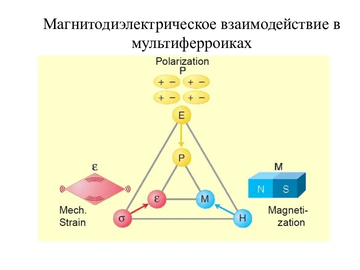 Магнитодиэлектрическое взаимодействие в мультиферроиках