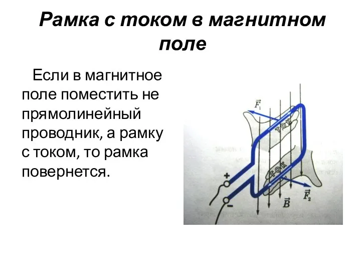 Рамка с током в магнитном поле Если в магнитное поле поместить