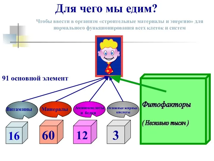 Для чего мы едим? Чтобы ввести в организм «строительные материалы и