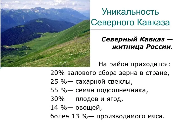 Уникальность Северного Кавказа Северный Кавказ — житница России. На район приходится: