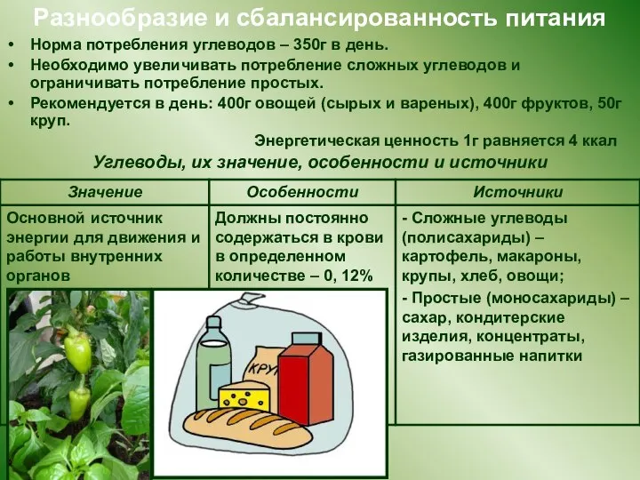 Разнообразие и сбалансированность питания Норма потребления углеводов – 350г в день.