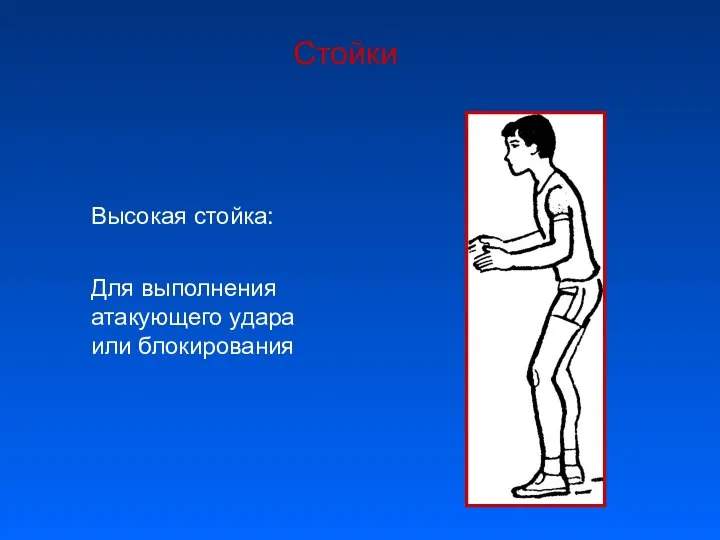 Стойки Высокая стойка: Для выполнения атакующего удара или блокирования