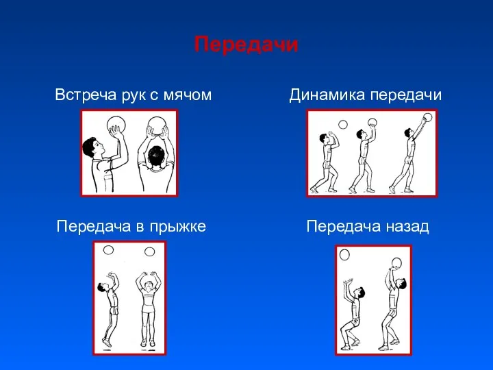 Передачи Встреча рук с мячом Динамика передачи Передача назад Передача в прыжке