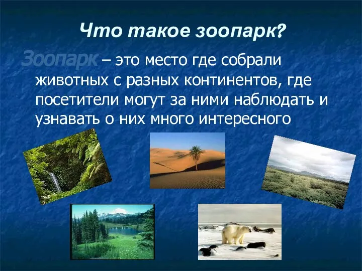 Что такое зоопарк? Зоопарк – это место где собрали животных с