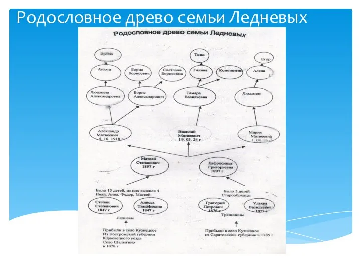 Родословное древо семьи Ледневых