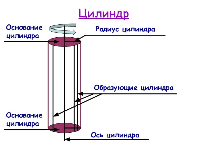 Цилиндр Ось цилиндра Основание цилиндра Основание цилиндра Образующие цилиндра Радиус цилиндра