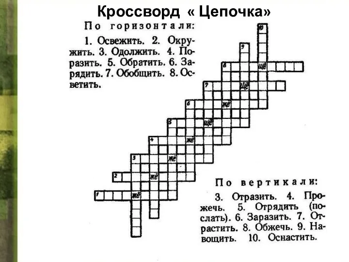 Кроссворд « Цепочка»