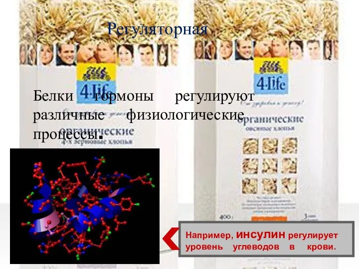 Регуляторная Белки гормоны регулируют различные физиологические процессы. Например, инсулин регулирует уровень углеводов в крови.