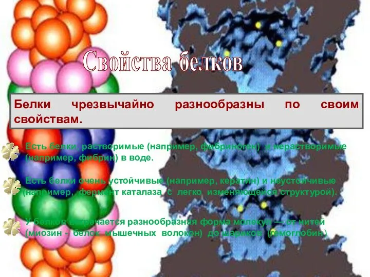 Белки чрезвычайно разнообразны по своим свойствам. Есть белки, растворимые (например, фибриноген)