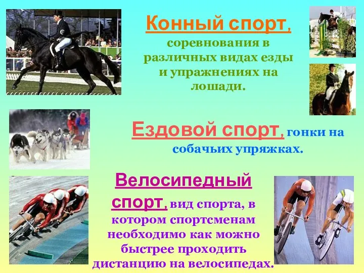 Конный спорт, соревнования в различных видах езды и упражнениях на лошади.
